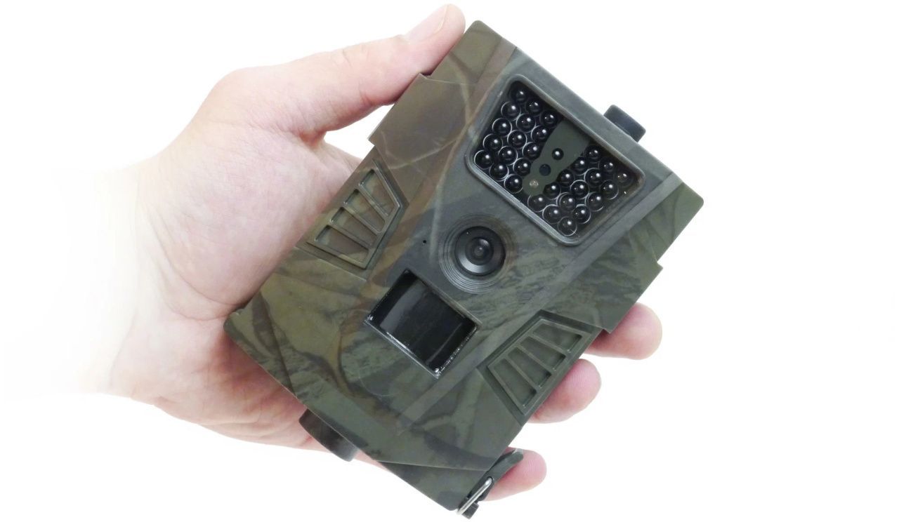 Анализ особенностей форматов файлов на фотоловушке Suntek