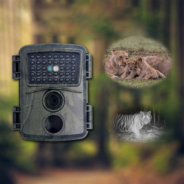 Инструкция по снятию качественных видеороликов на природе с использованием фотоловушки Suntek