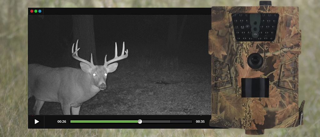 Особенности качественного видеонаблюдения в ночное время суток на фотоловушке Suntek