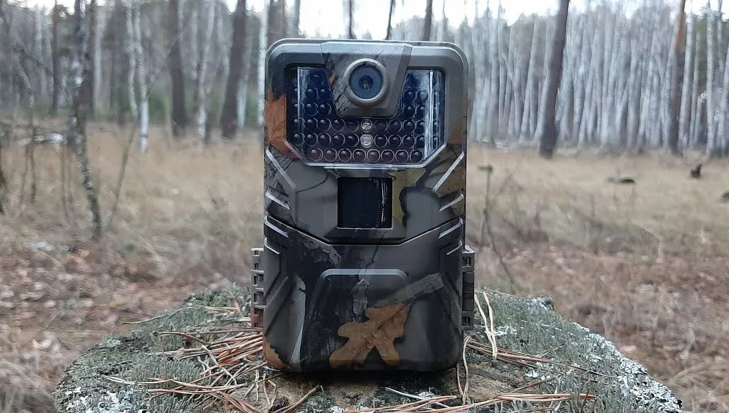 Выбор подходящего места для установки фотоловушки Suntek